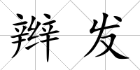 辮發(fā)