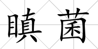 瞋菌