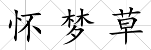 懷夢草