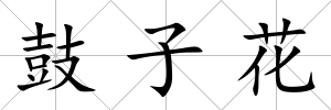 鼓子花