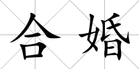 合婚