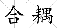 合耦