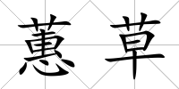蕙草