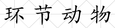環(huán)節(jié)動物