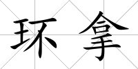 環拿
