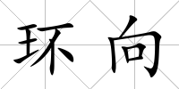 環向