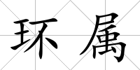 環(huán)屬