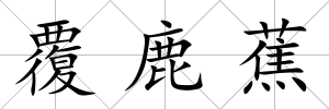 覆鹿蕉
