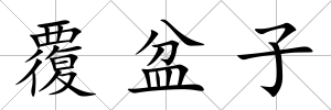 覆盆子
