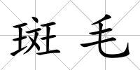 斑毛
