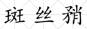 斑絲矟