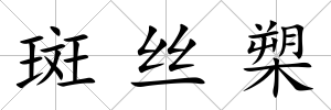 斑絲槊