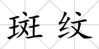 斑紋