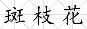 斑枝花