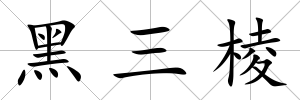 黑三棱