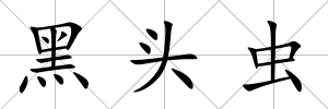黑頭蟲