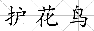 護花鳥