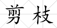 剪枝