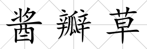 醬瓣草