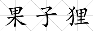 果子貍