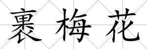 裹梅花