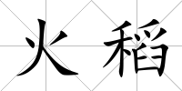 火稻