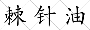 棘針油