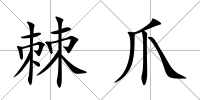 棘爪