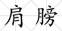 肩膀