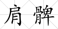肩髀