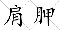 肩胛