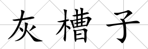 灰槽子