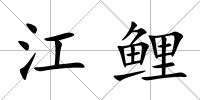 江鯉