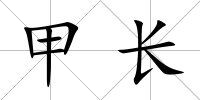 甲長