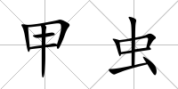 甲蟲