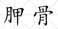 胛骨