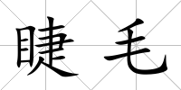 睫毛