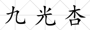 九光杏