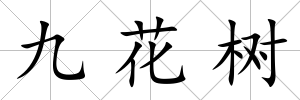 九花樹