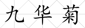九華菊
