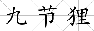 九節貍