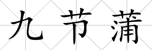 九節蒲
