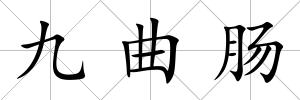 九曲腸