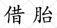 借胎