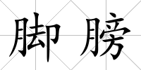 腳膀