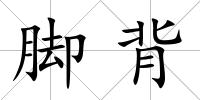 腳背