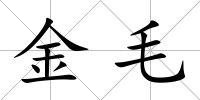 金毛