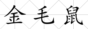 金毛鼠