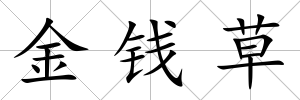 金錢草