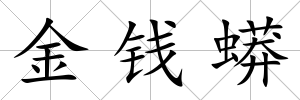 金錢蟒